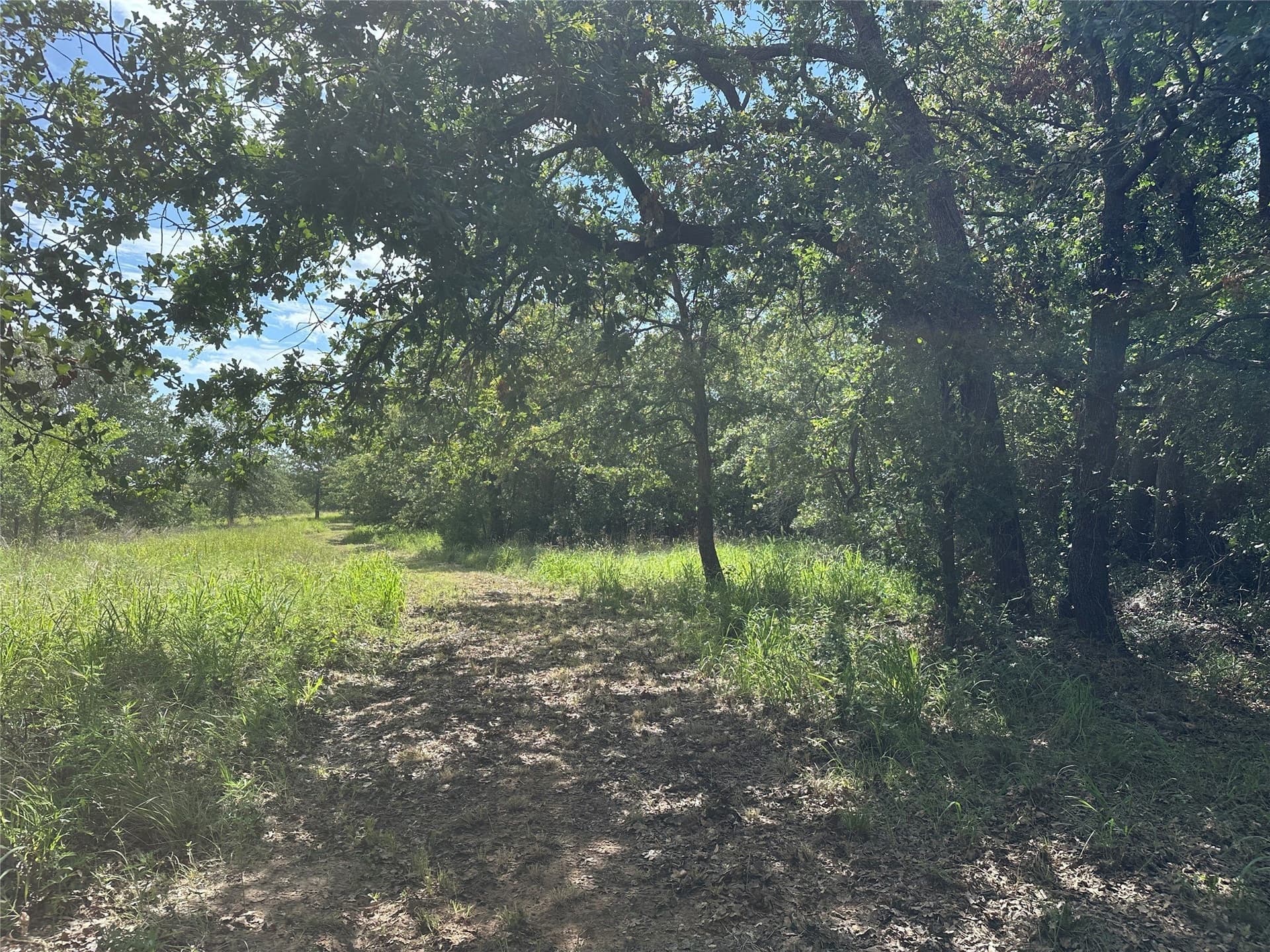 11.07 acres in Wise County - photo 31