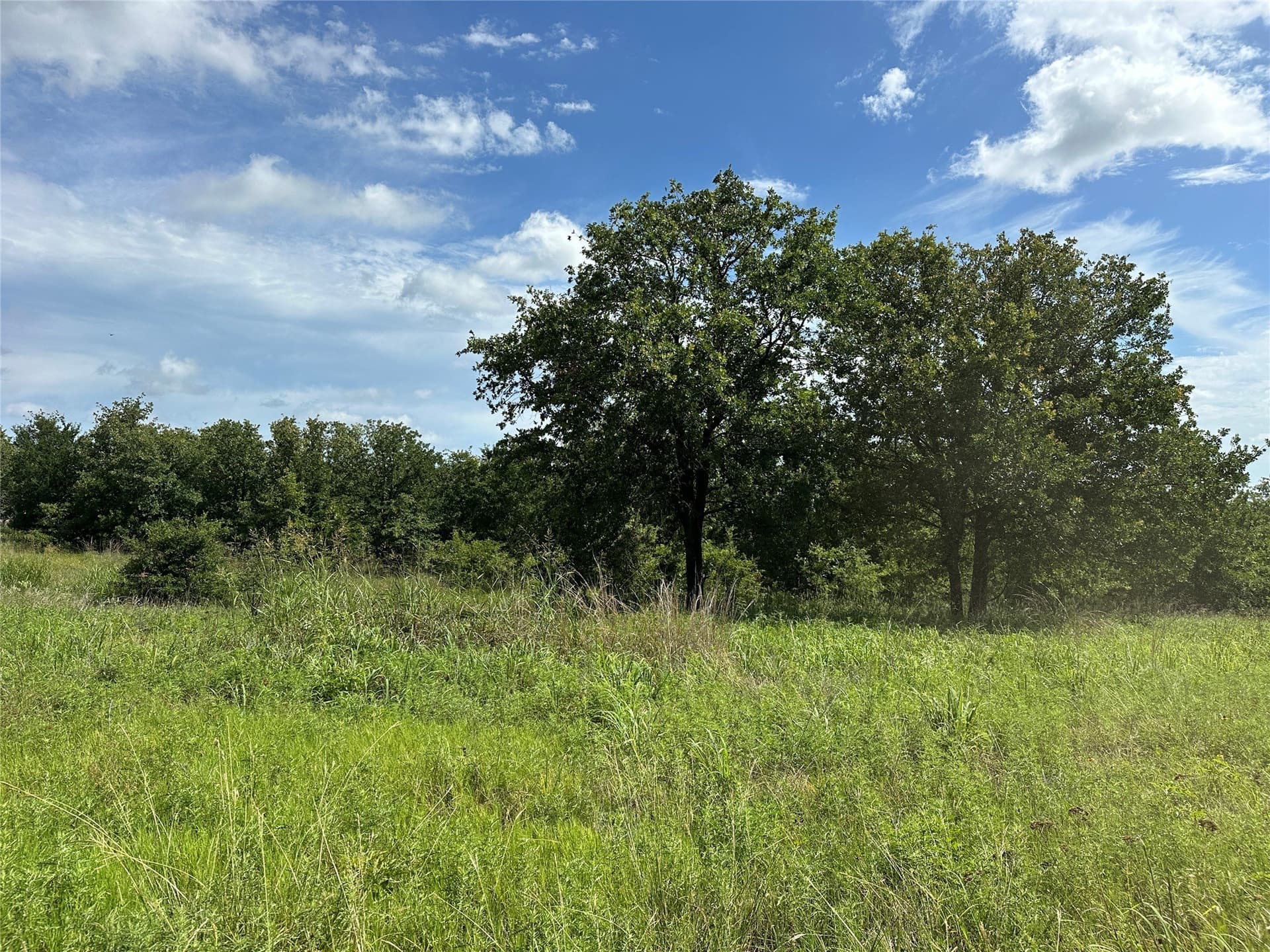 11.07 acres in Wise County - photo 19