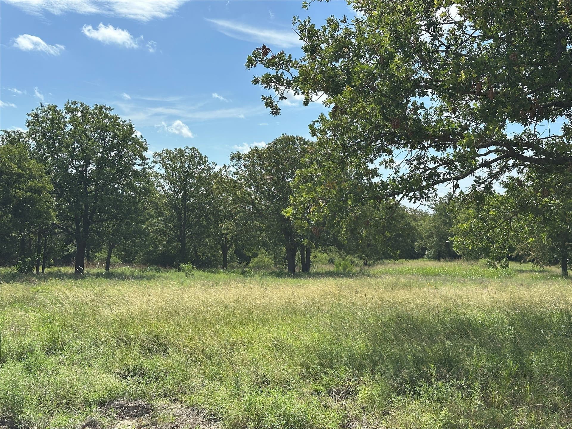 11.07 acres in Wise County