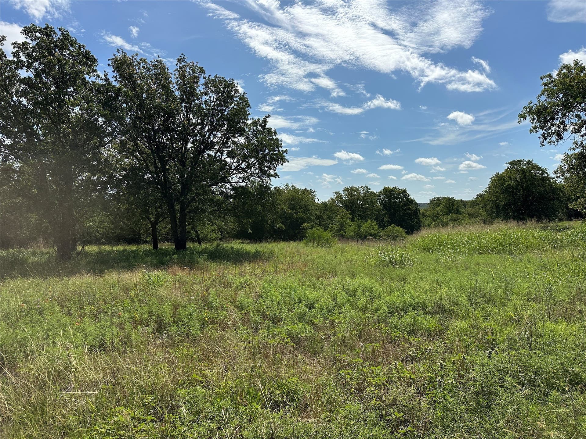 11.07 acres in Wise County - photo 29