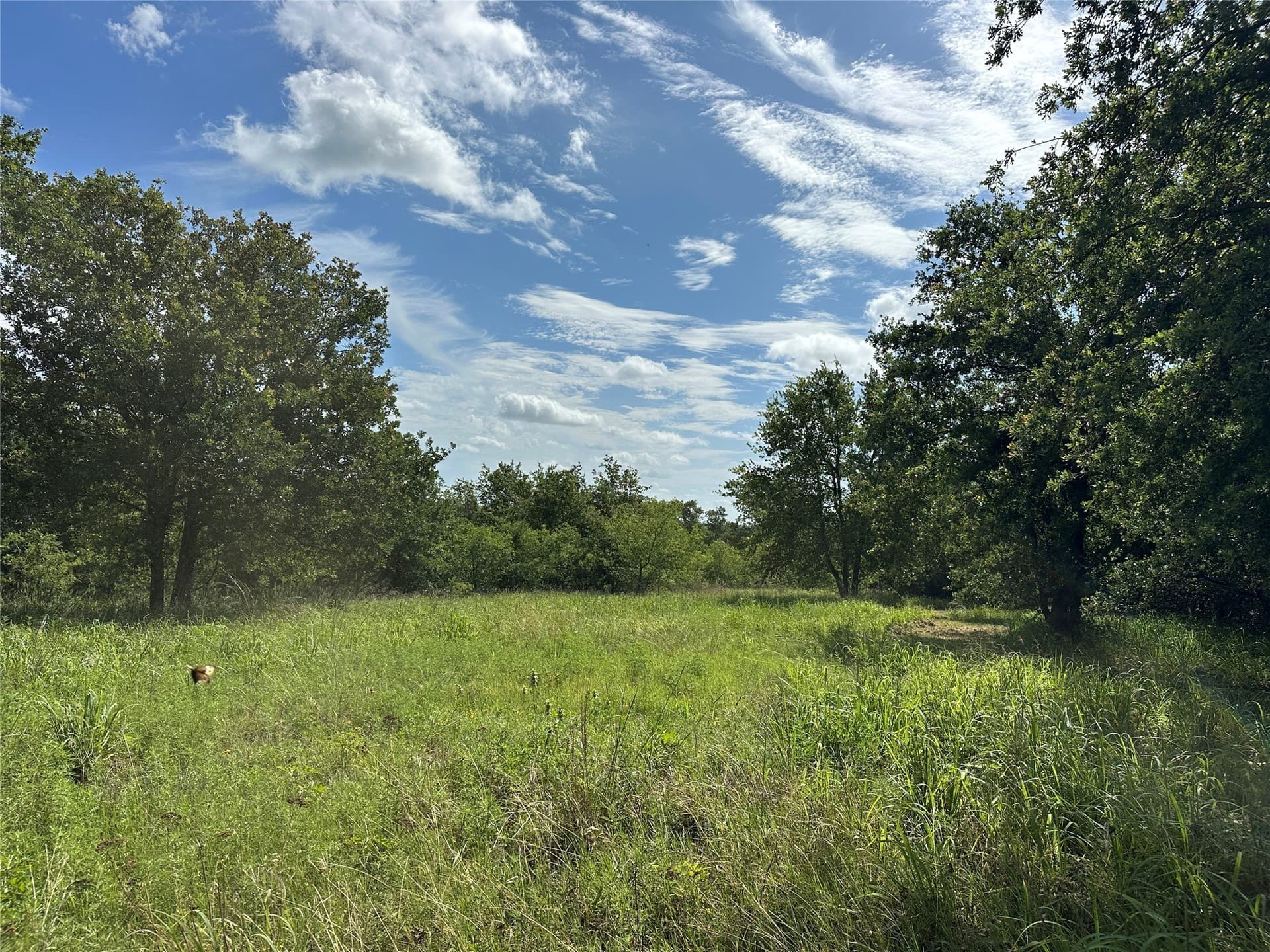 11.07 acres in Wise County - photo 20
