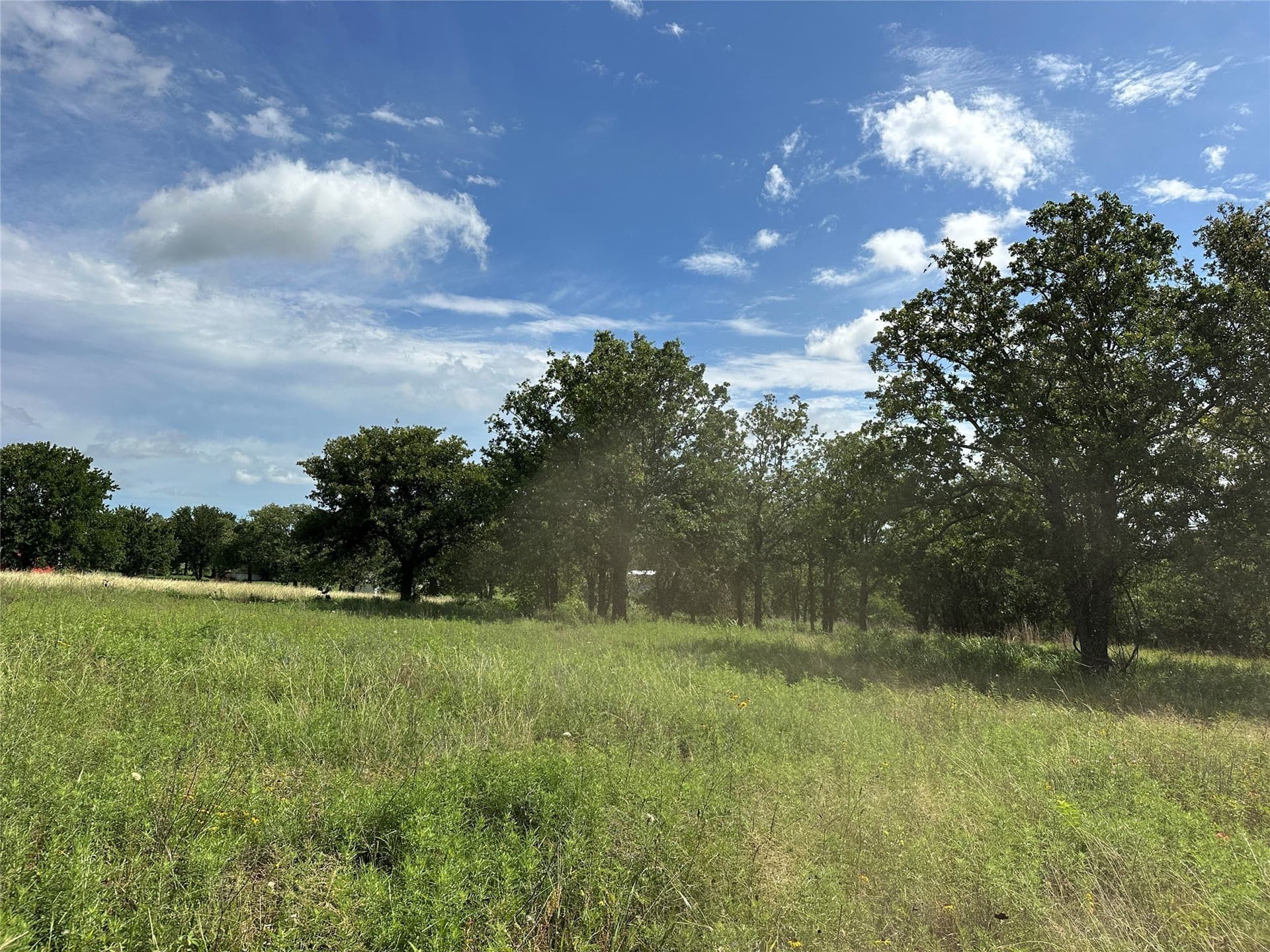 11.07 acres in Wise County - photo 28