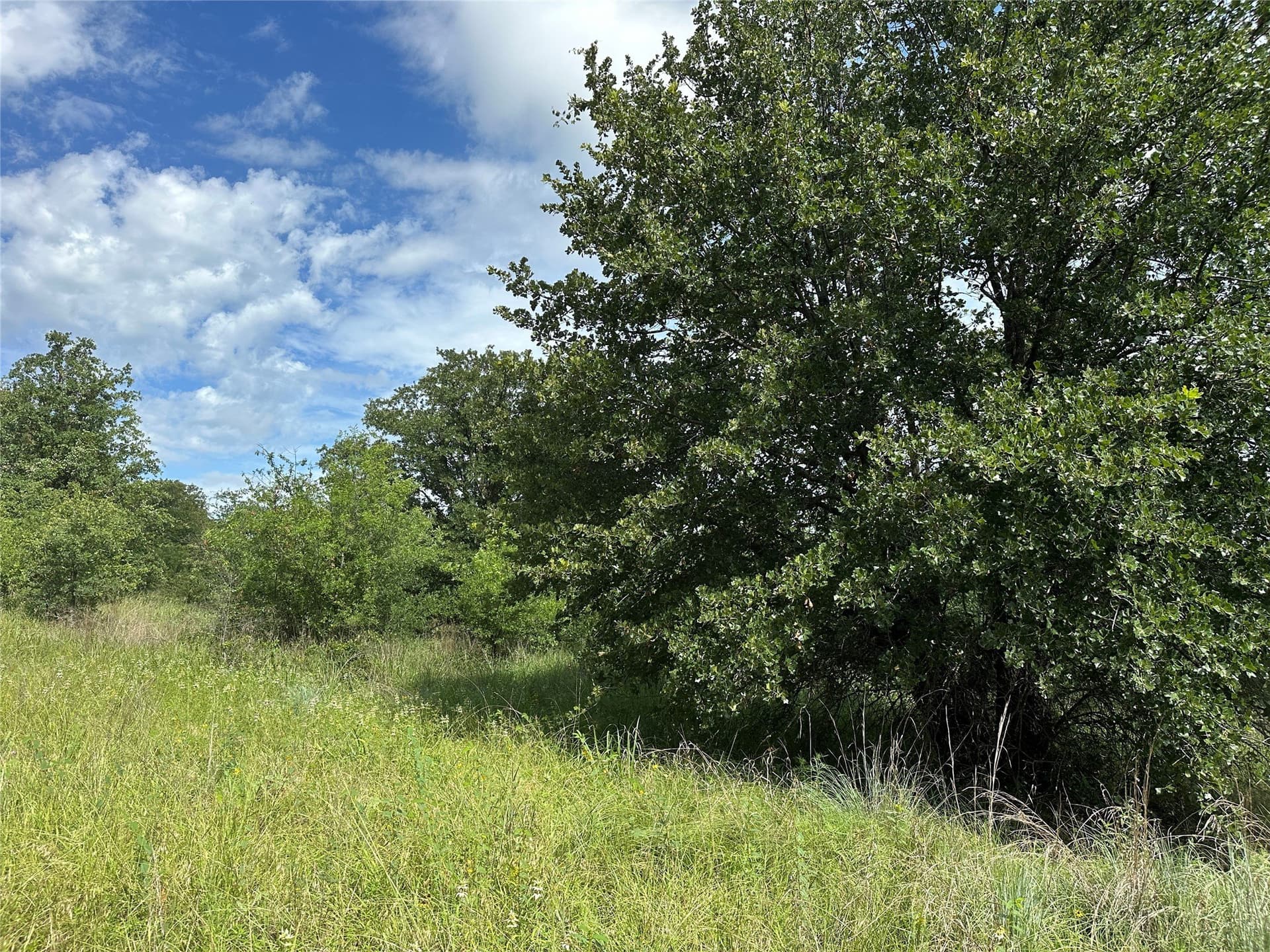 11.07 acres in Wise County - photo 36