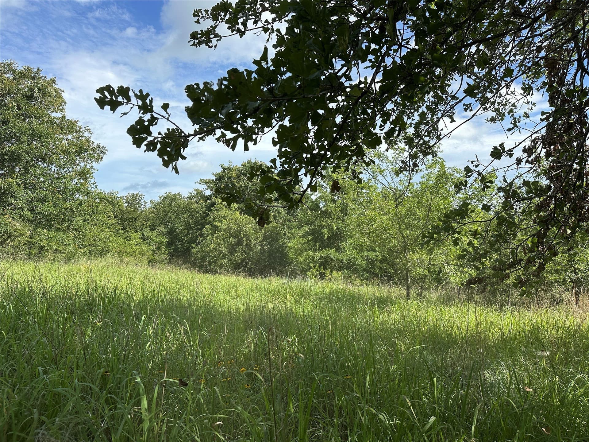 11.07 acres in Wise County - photo 33