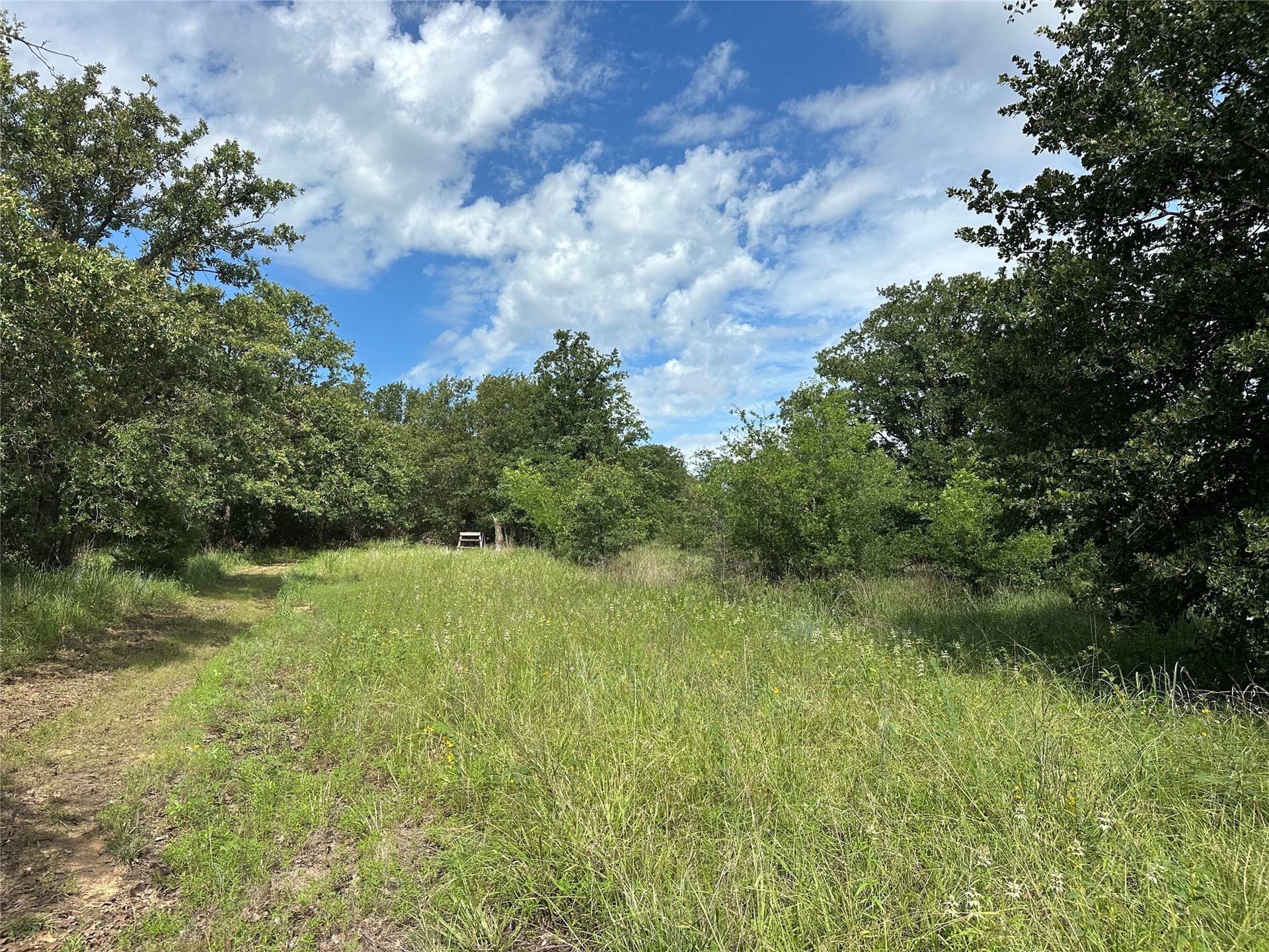 11.07 acres in Wise County - photo 35