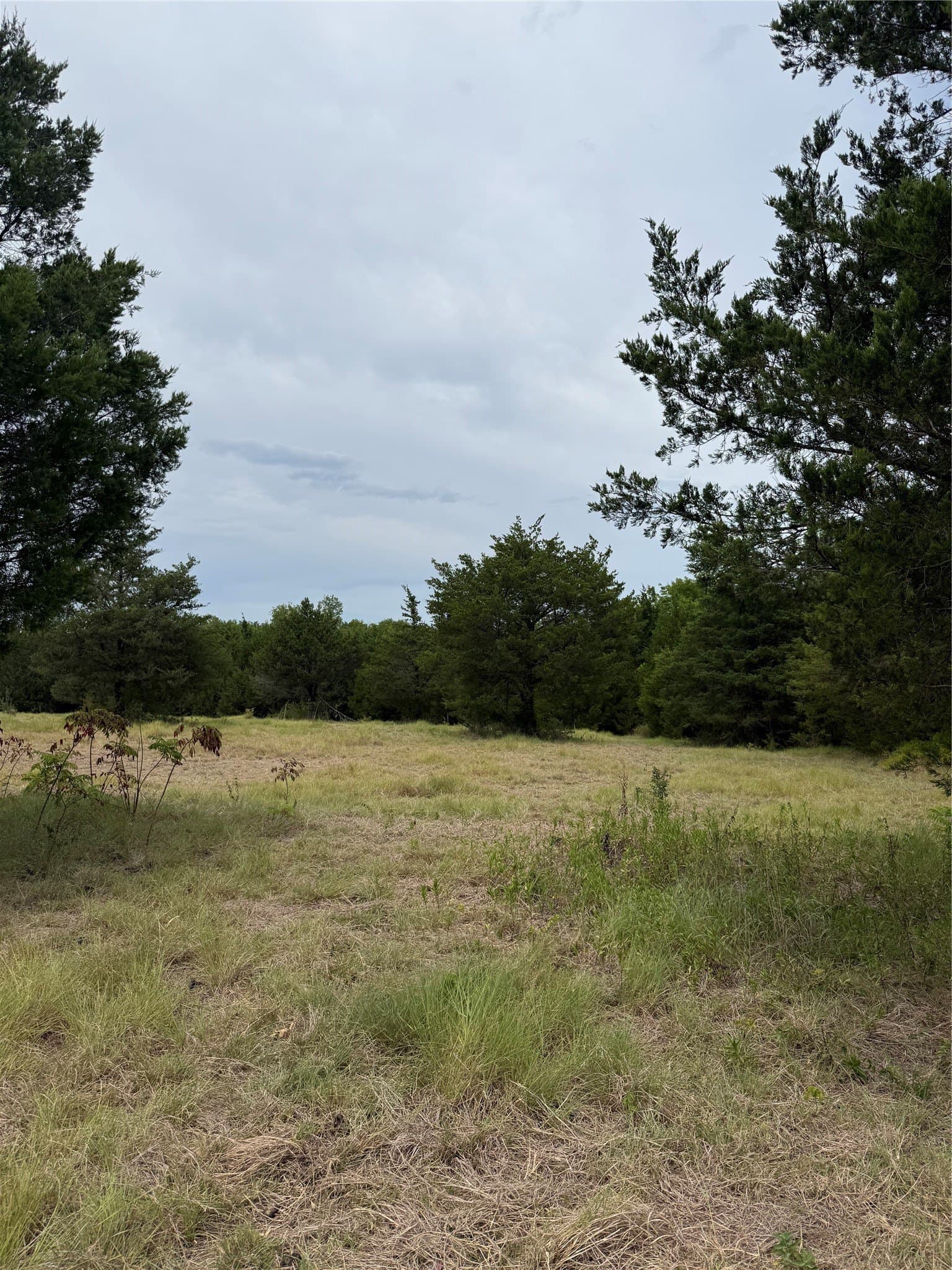 11.1 acres in Fannin County - photo 5
