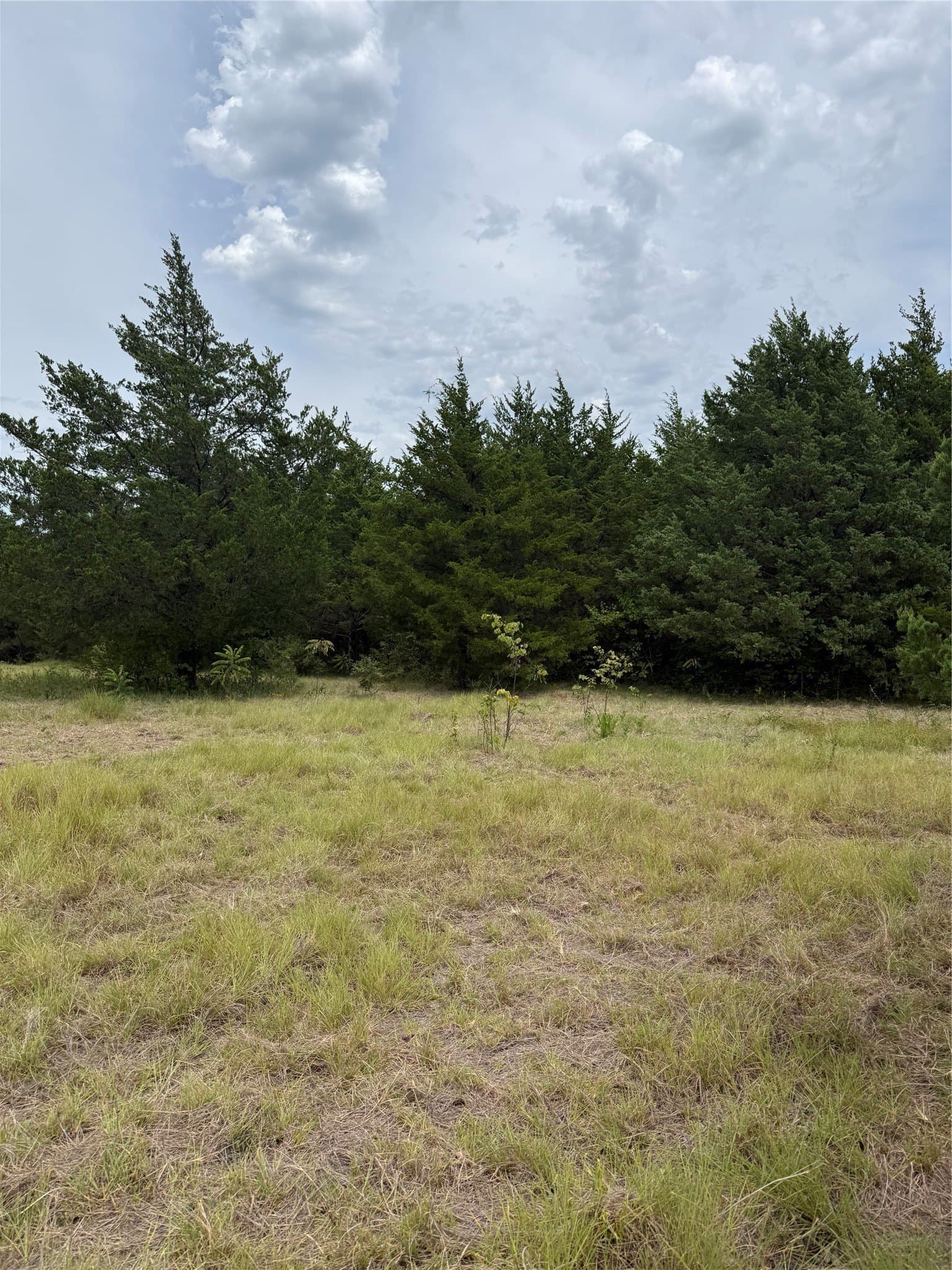 11.1 acres in Fannin County - photo 2