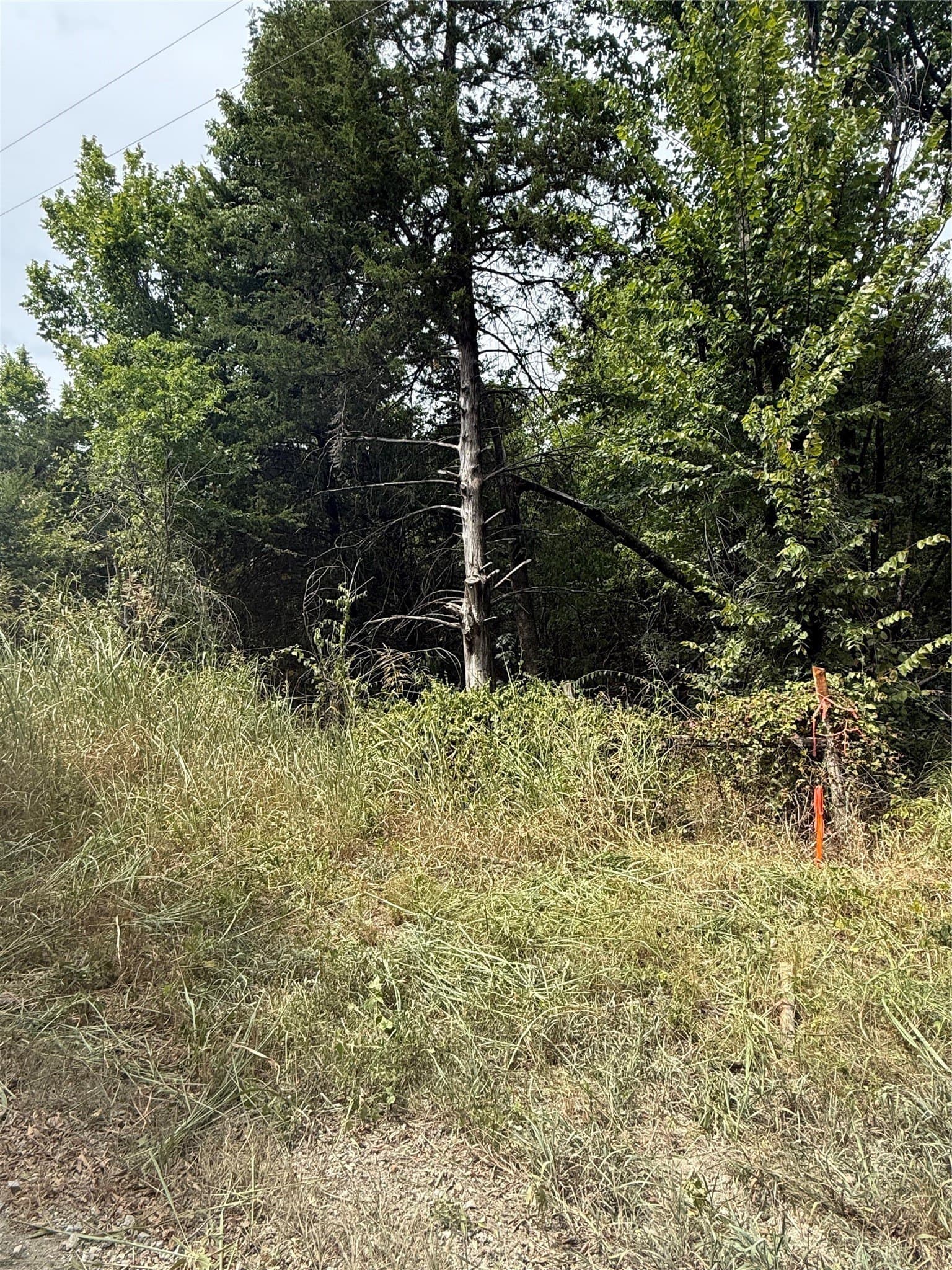 11.1 acres in Fannin County - photo 6