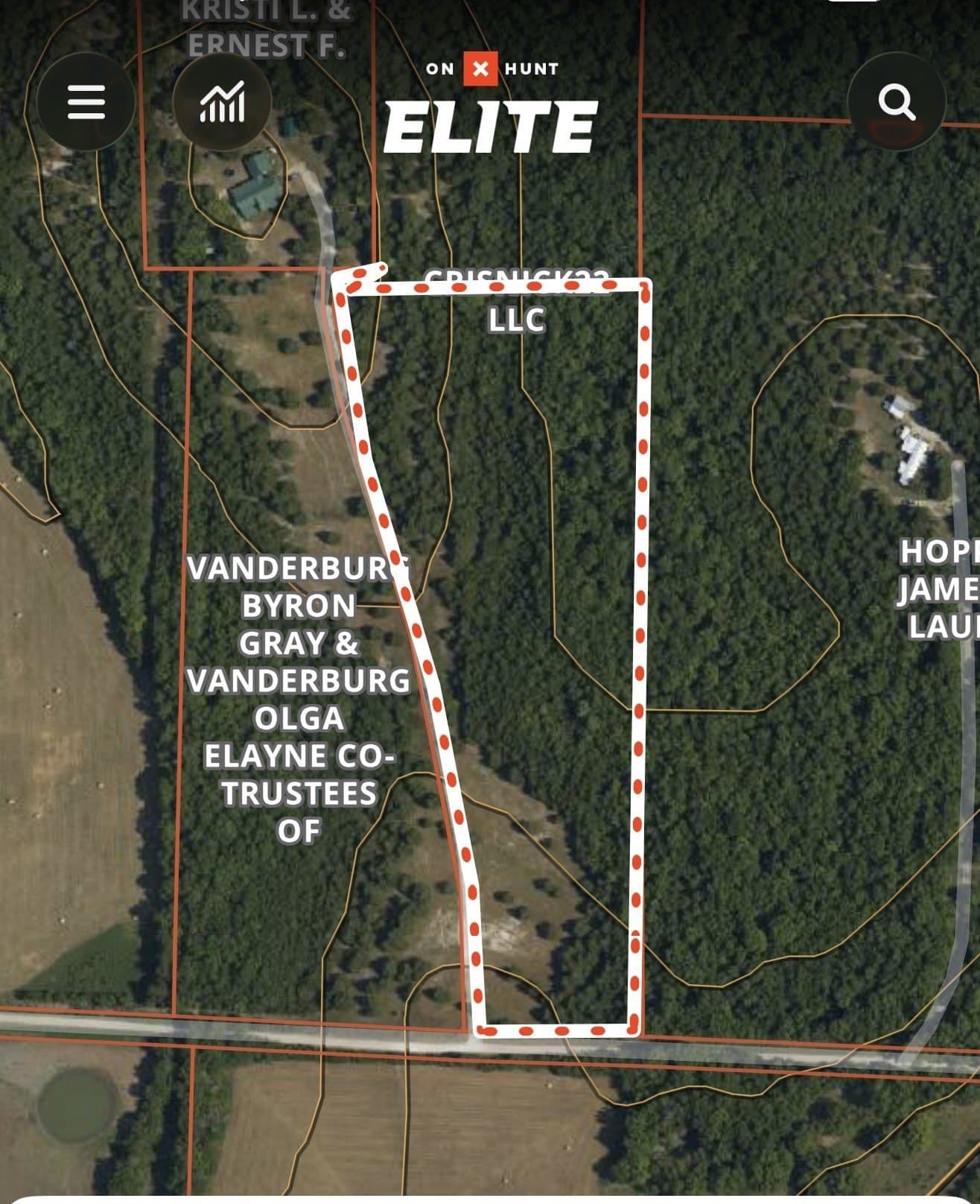 11.1 acres in Fannin County - photo 7