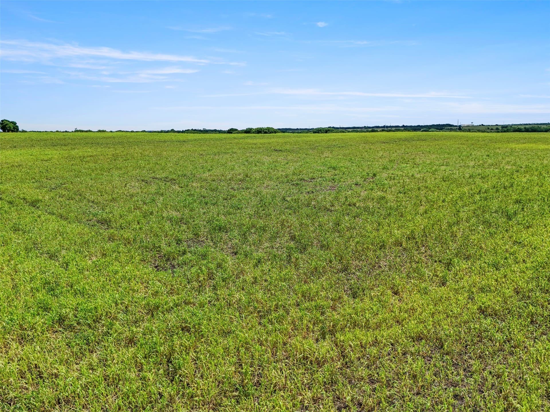 103.22 acres in Grayson County - photo 20