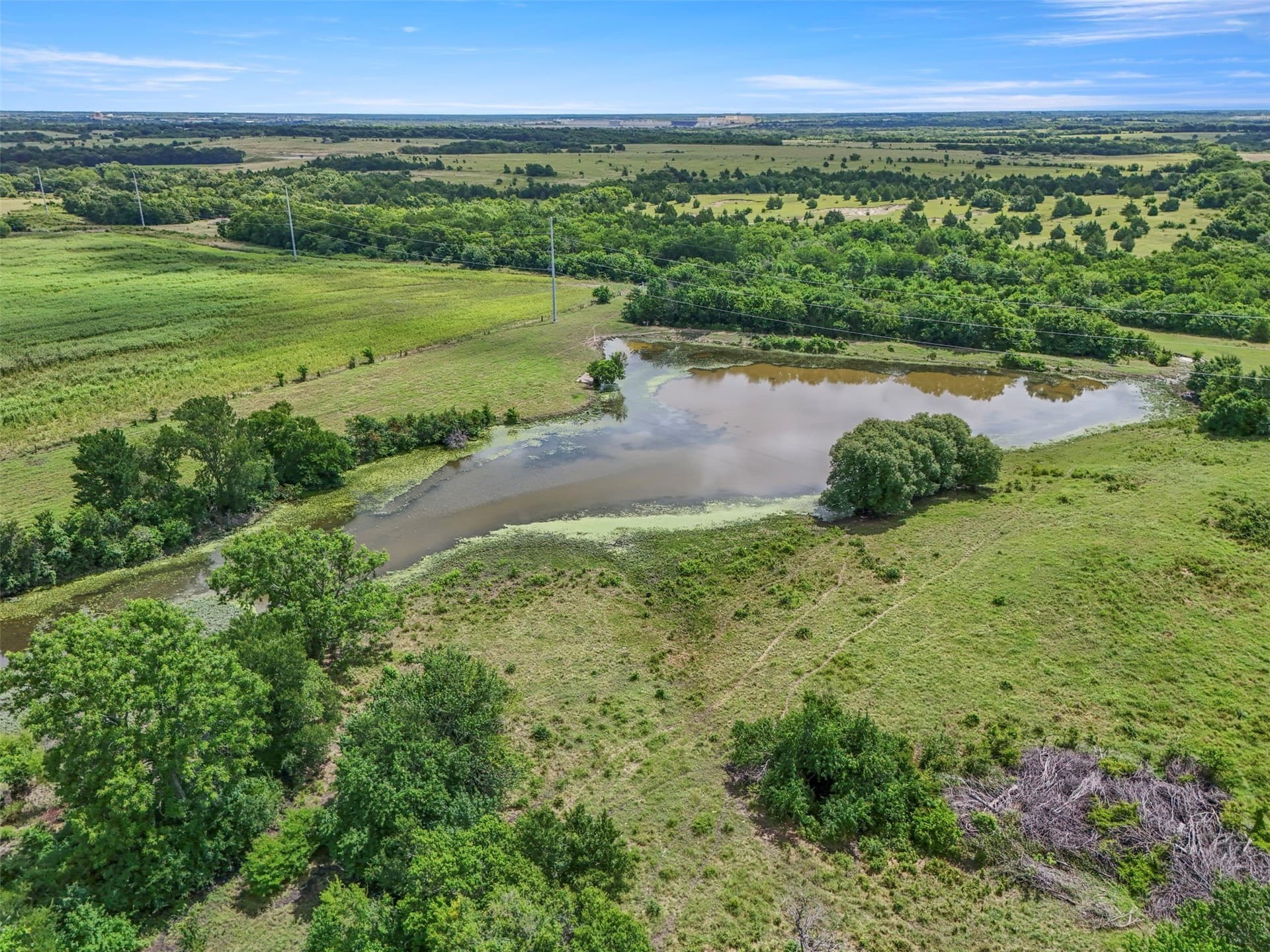 103.22 acres in Grayson County - photo 23
