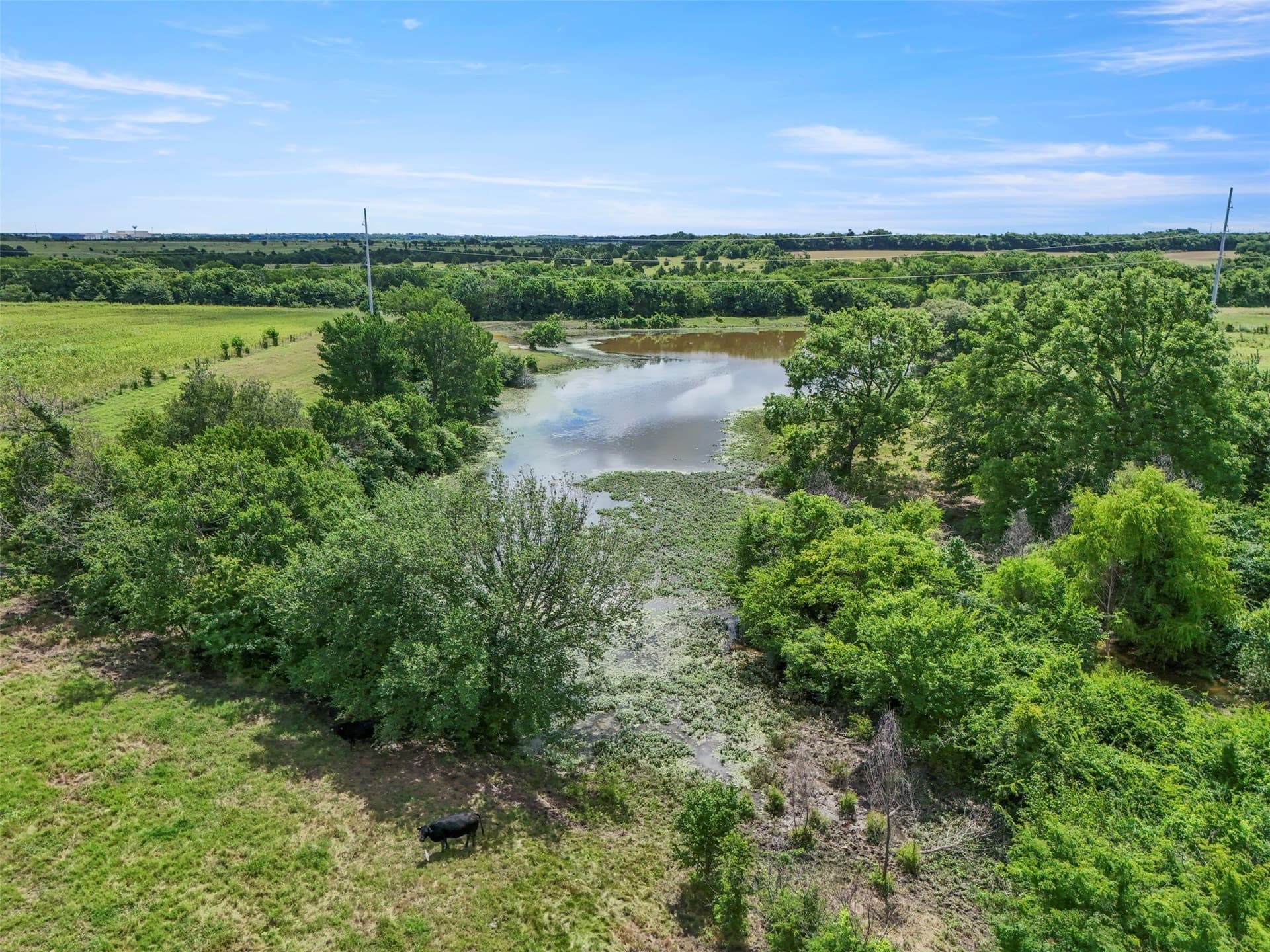 103.22 acres in Grayson County - photo 24