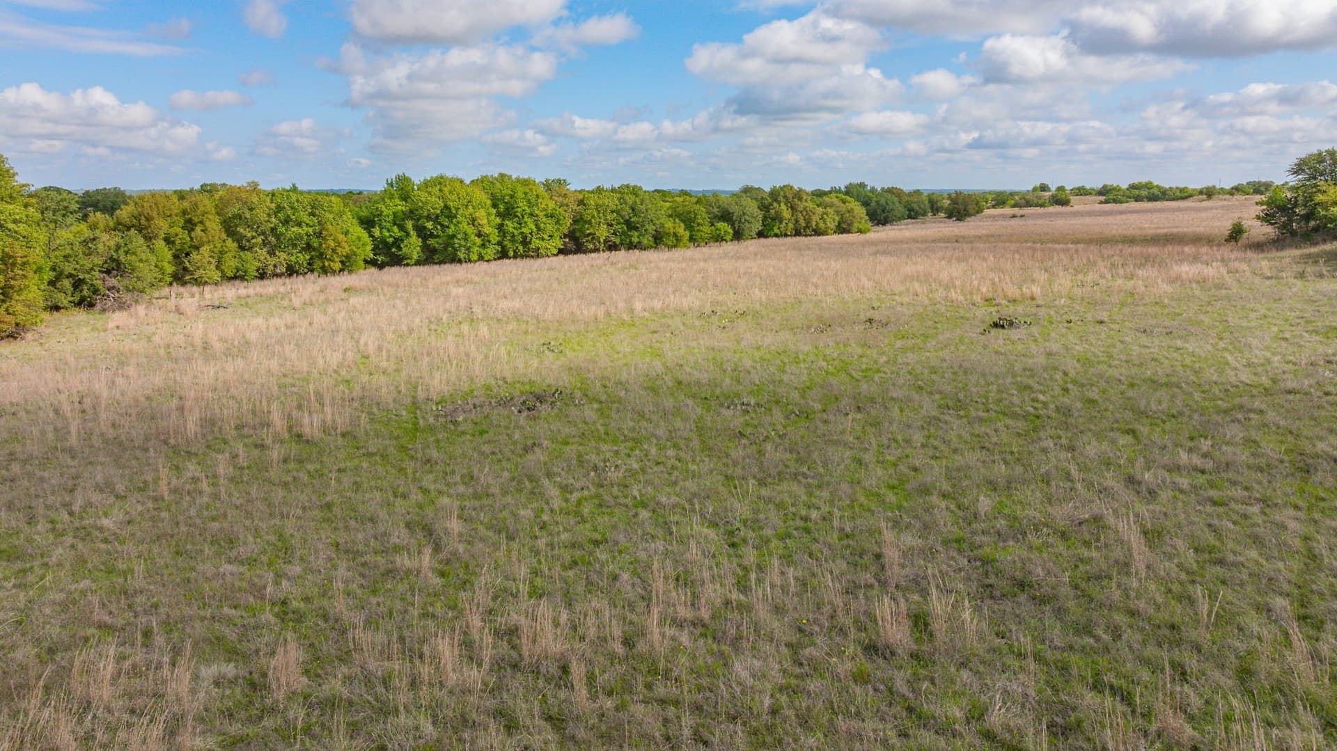 11.55 acres in Erath County - photo 39