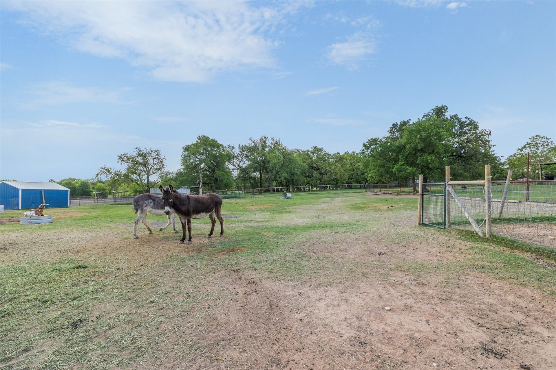 6.12 acres in McLennan County - photo 18