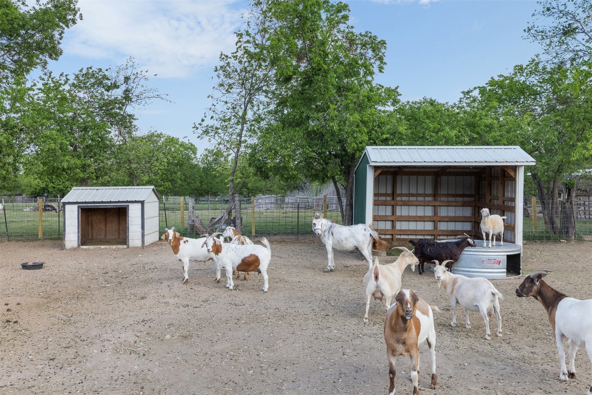 6.12 acres in McLennan County - photo 19