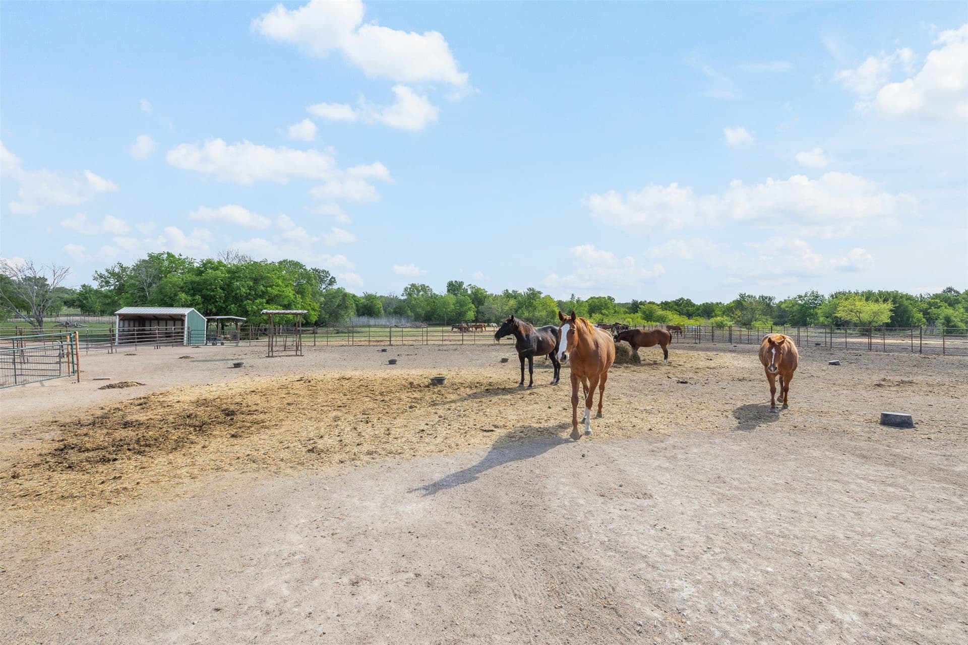 6.12 acres in McLennan County - photo 29