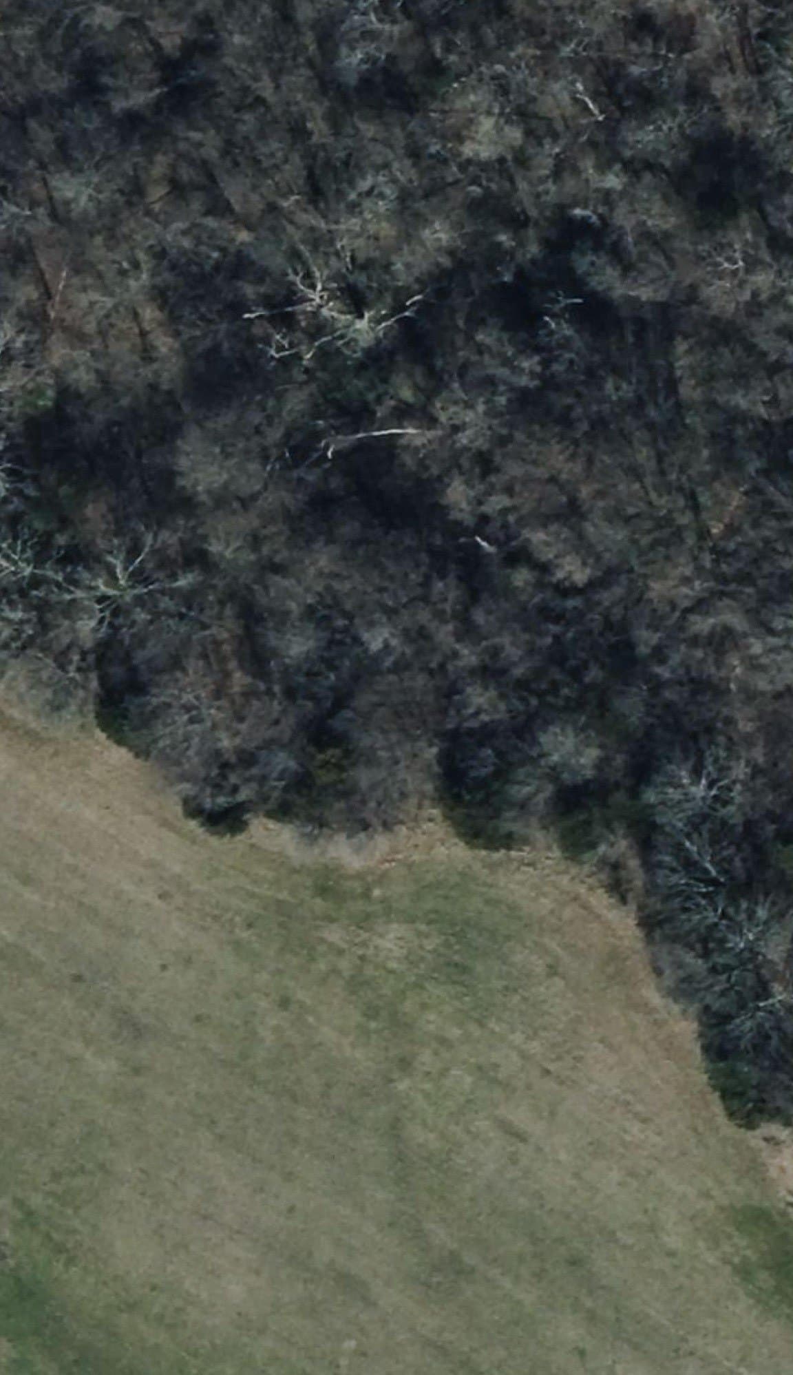 5 acres in Fannin County - photo 2