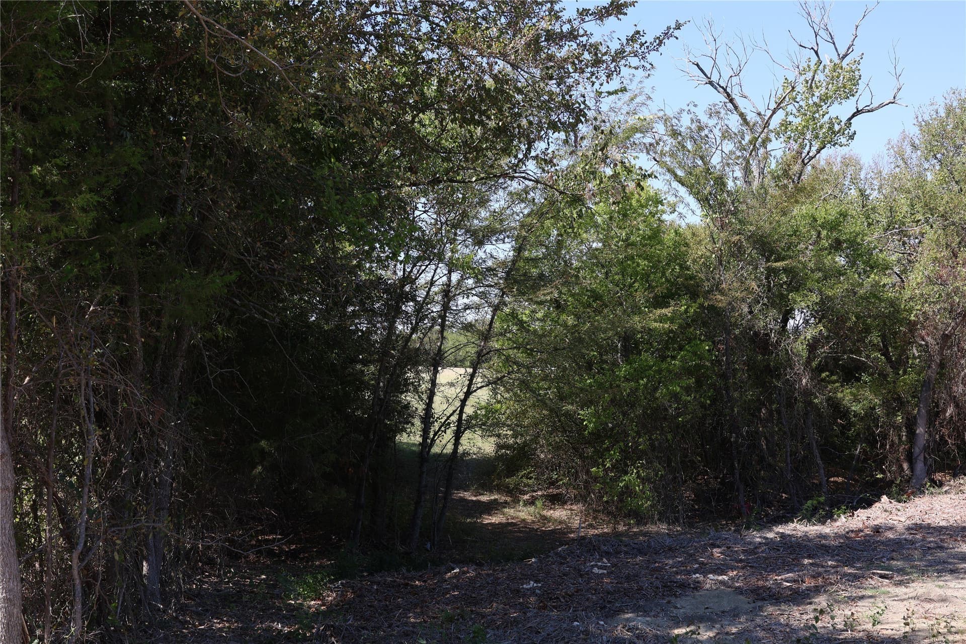 5 acres in Fannin County - photo 3