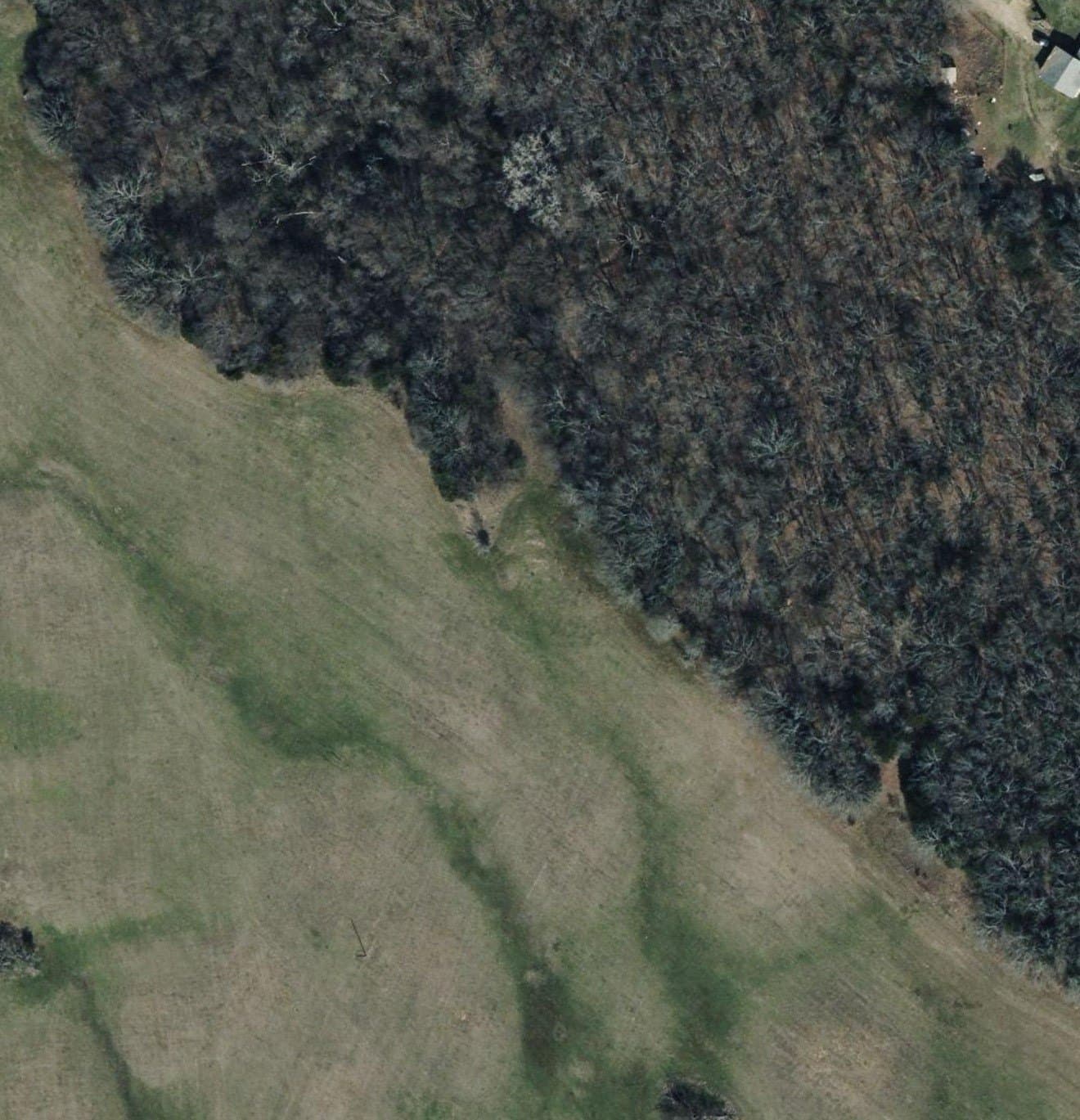 5 acres in Fannin County