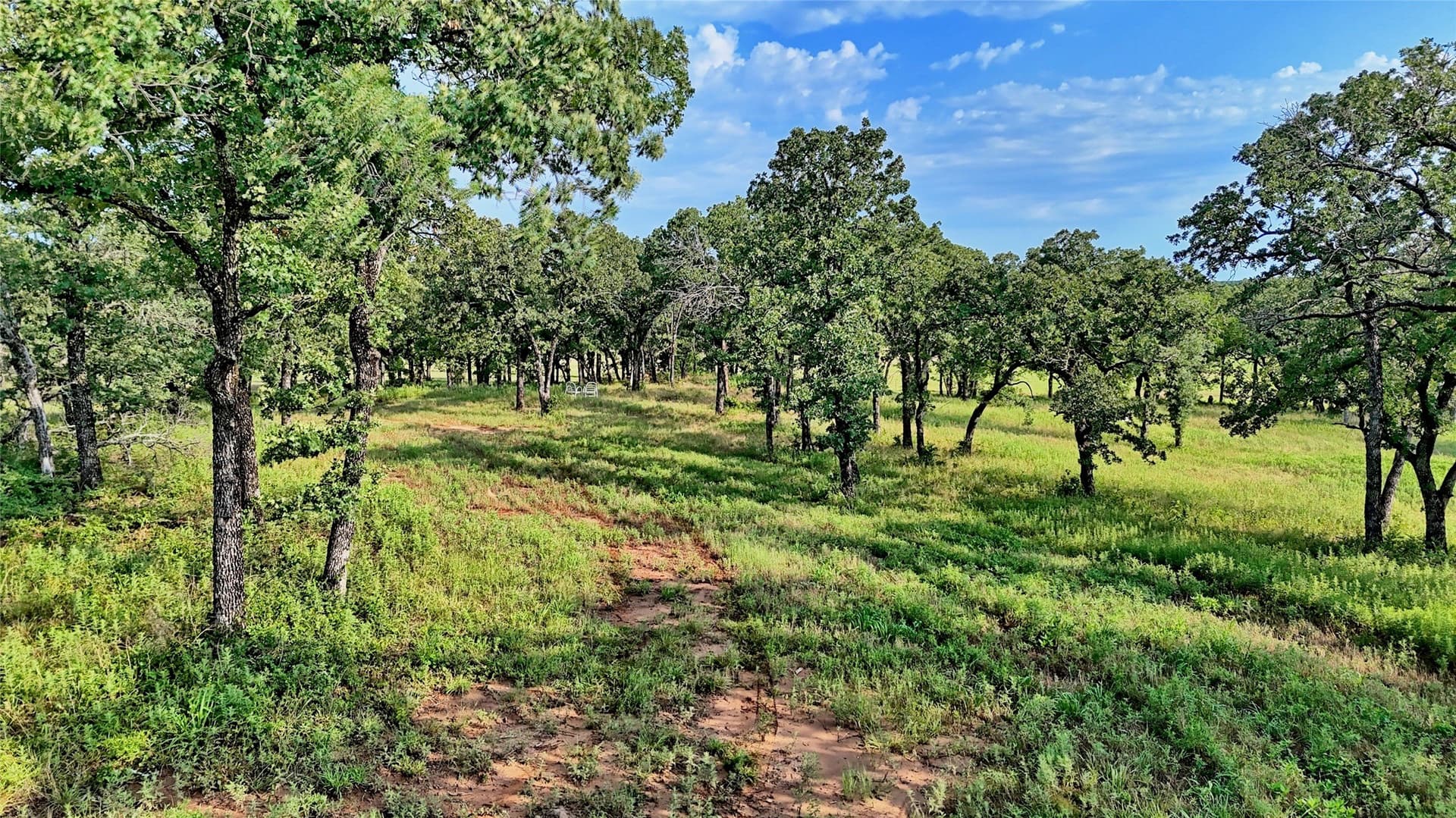 34.18 acres in Montague County - photo 32