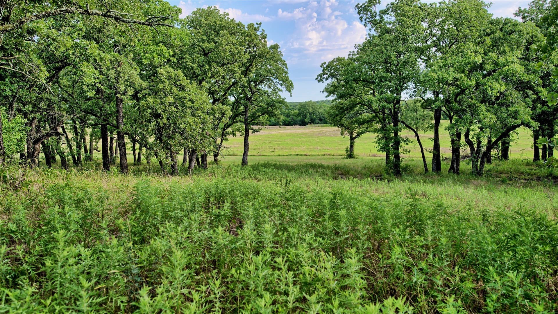 34.18 acres in Montague County - photo 5