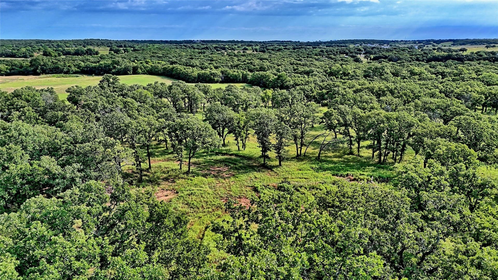 34.18 acres in Montague County - photo 33
