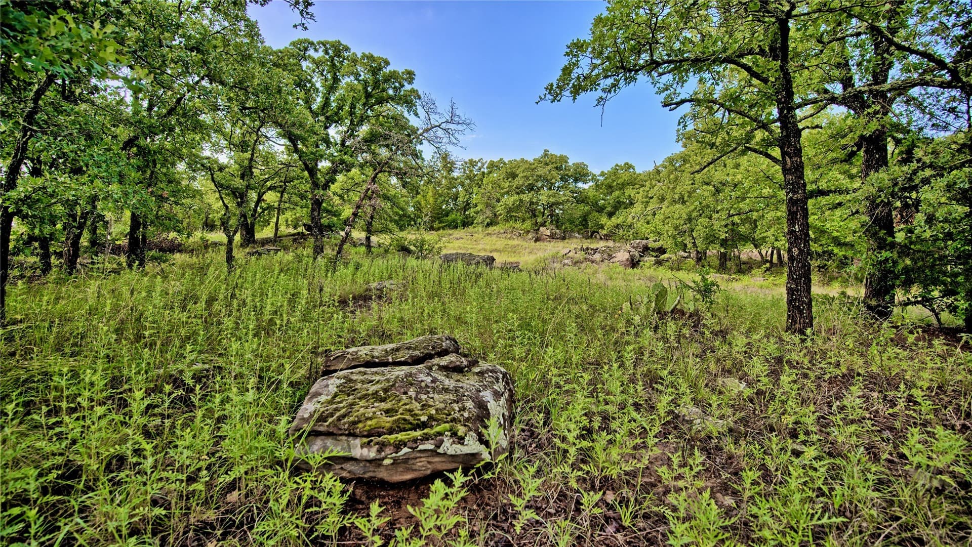 34.18 acres in Montague County - photo 31