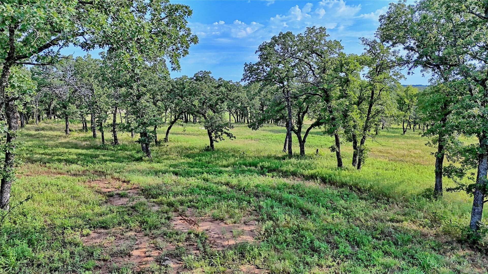 34.18 acres in Montague County - photo 34