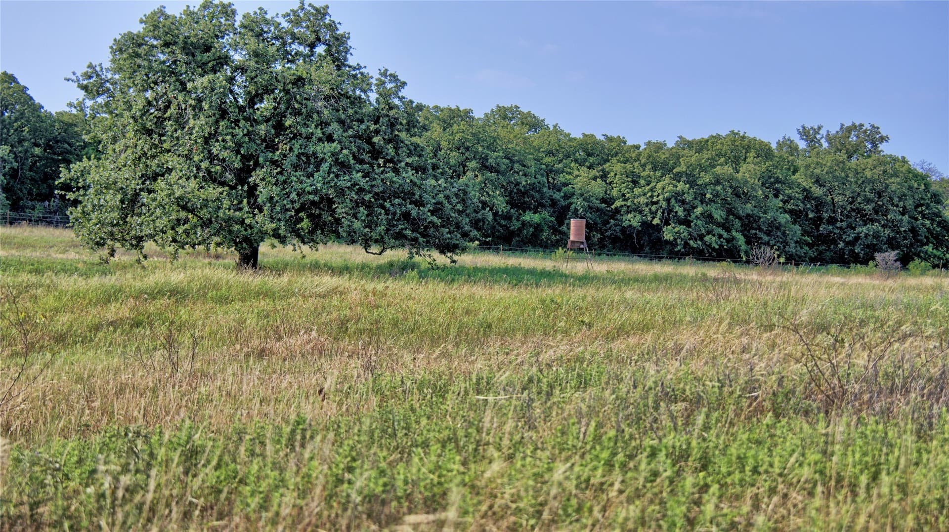 34.18 acres in Montague County - photo 30