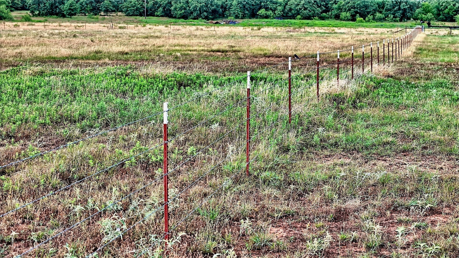 34.18 acres in Montague County - photo 36