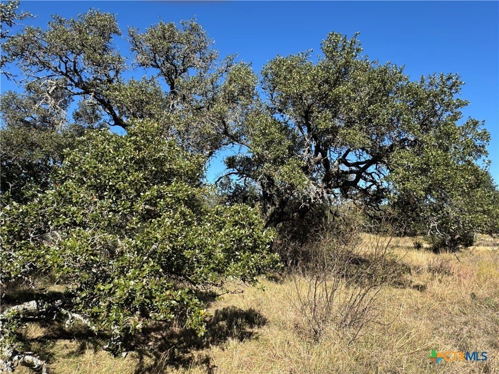5 acres in San Saba County featured view
