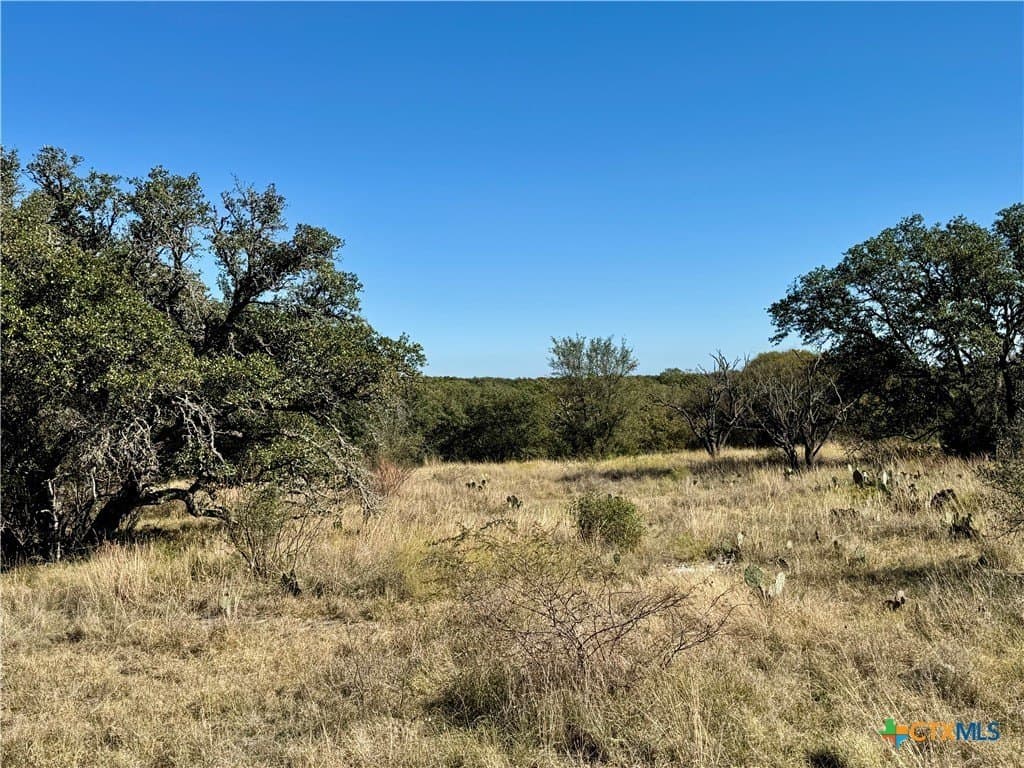 5 acres in San Saba County gallery image 2