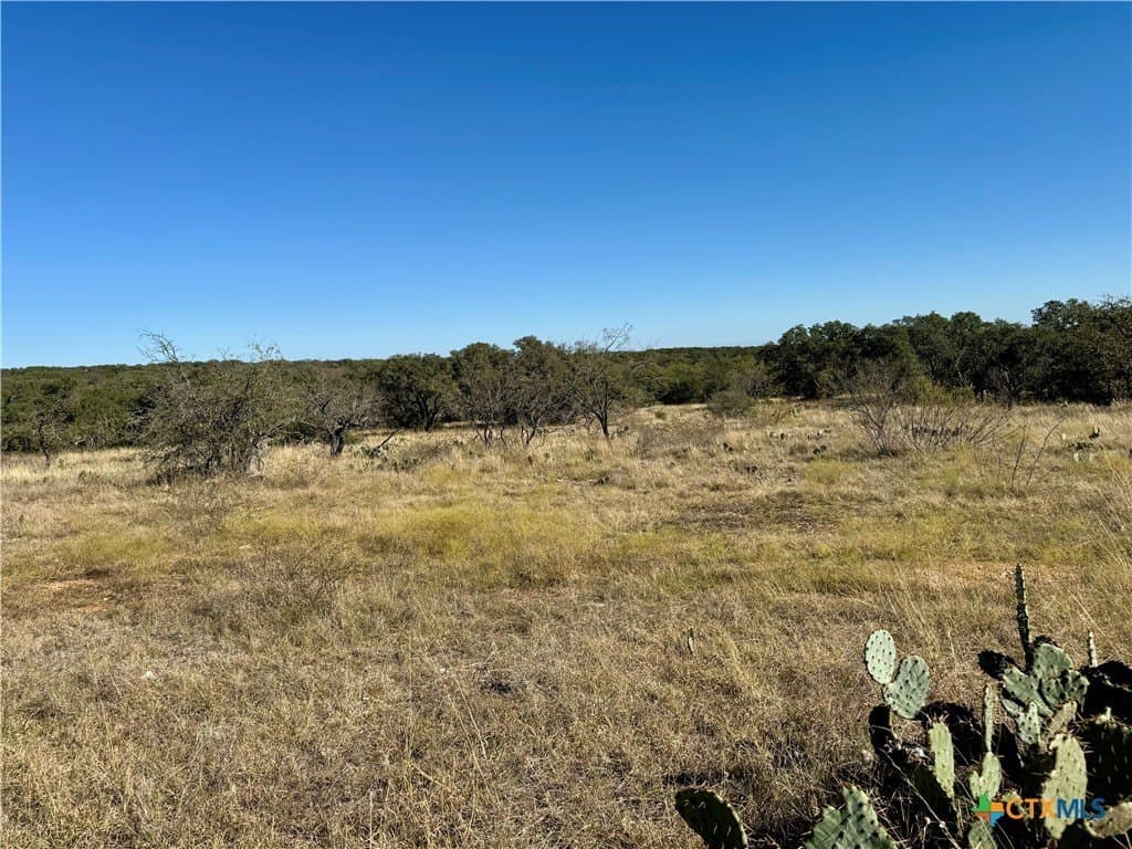 5 acres in San Saba County gallery image 3