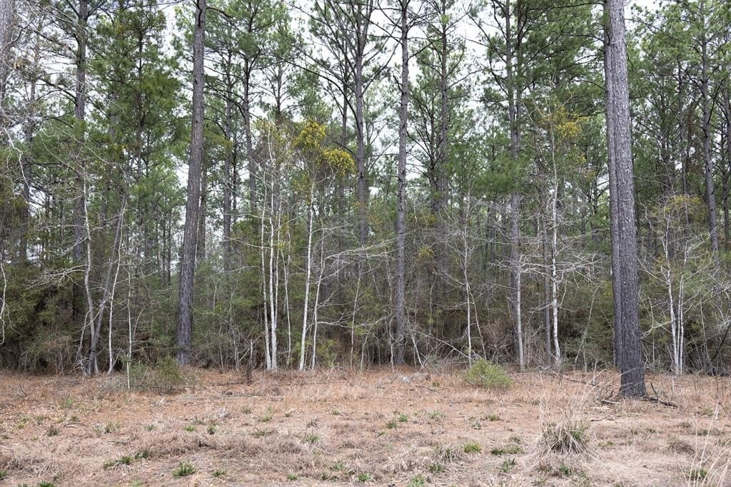 15.5 acres in Texas County