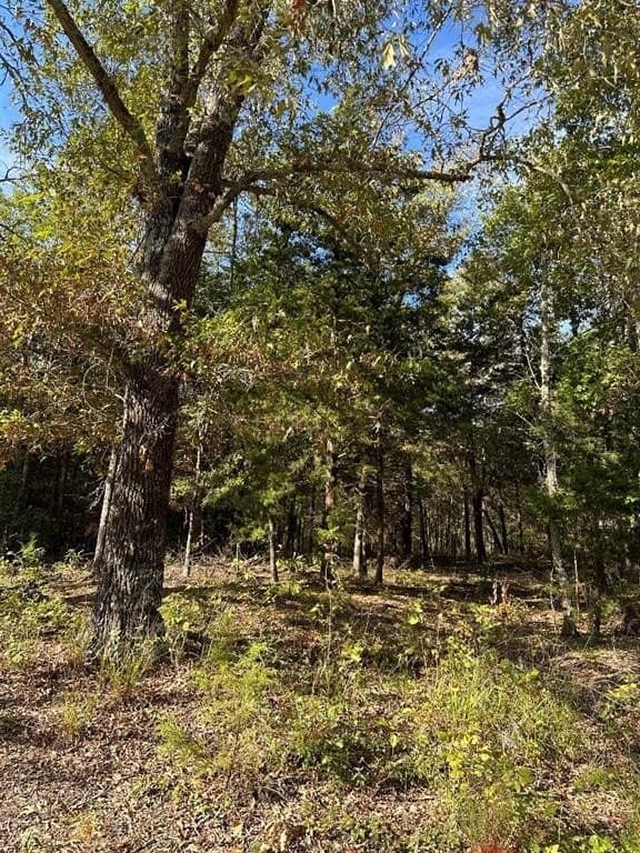 7.11 acres in Lamar County