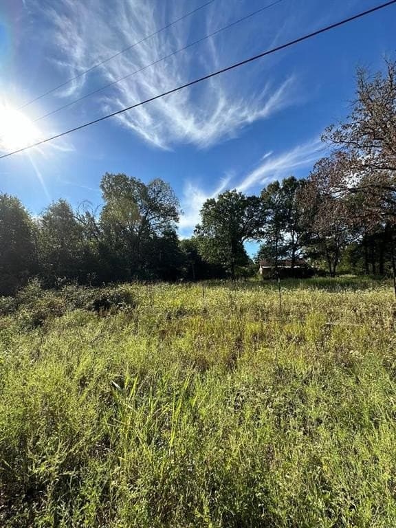 7.11 acres in Lamar County gallery image 2