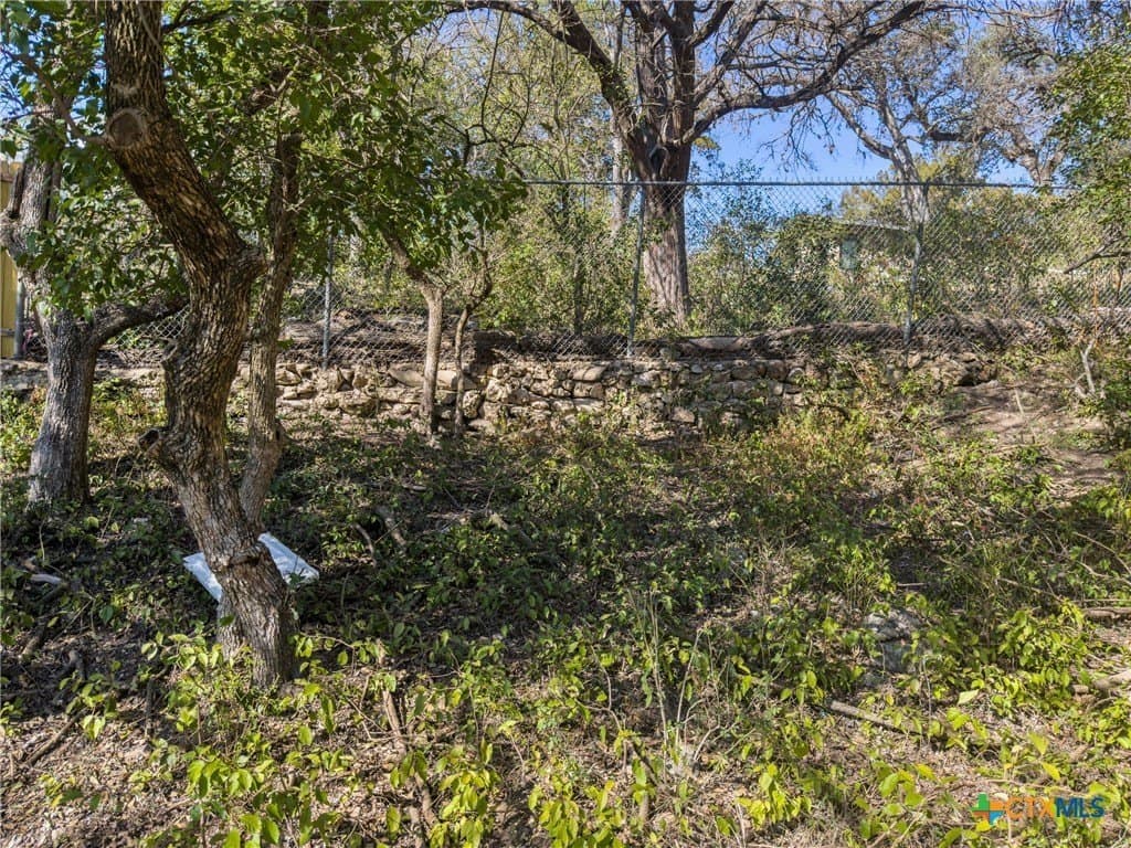 0.35 acres in Comal County gallery image 4