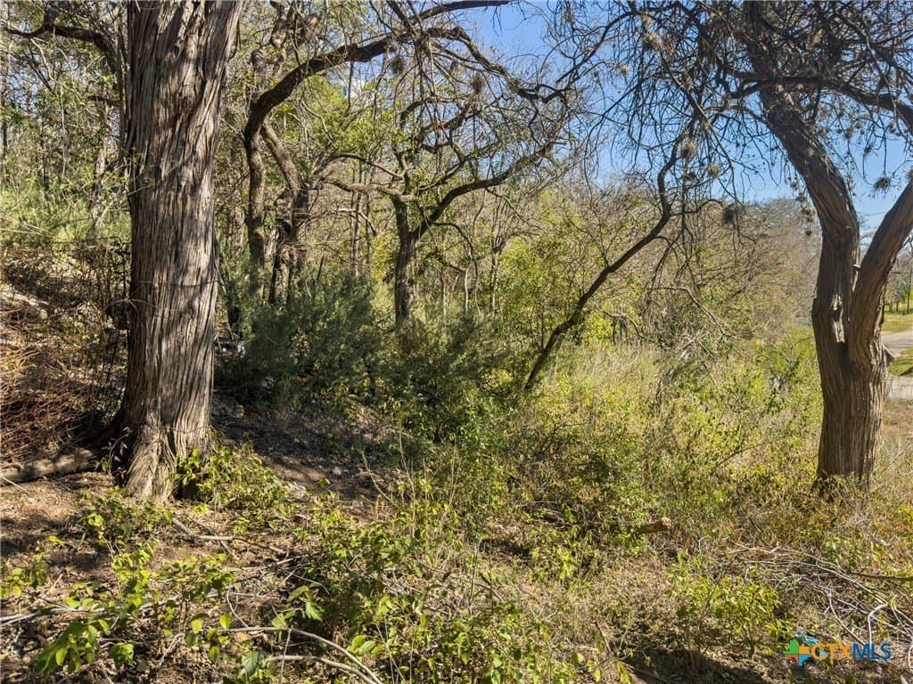 0.35 acres in Comal County gallery image 2