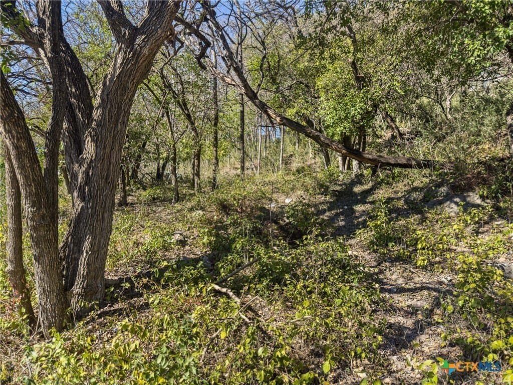 0.35 acres in Comal County featured view
