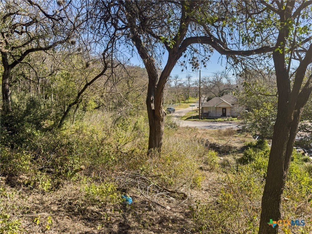 0.35 acres in Comal County gallery image 3