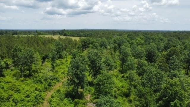 22.79 acres in Texas County gallery image 3