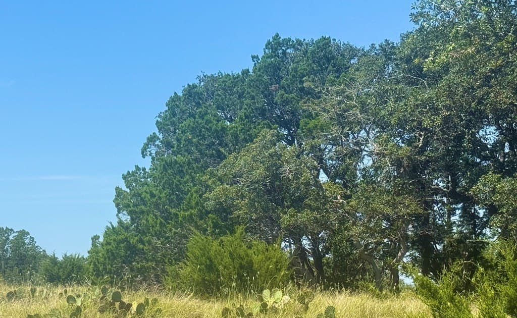 5.07 acres in Kerr County - photo 10