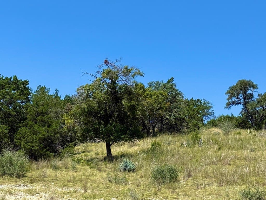 5.07 acres in Kerr County - photo 7