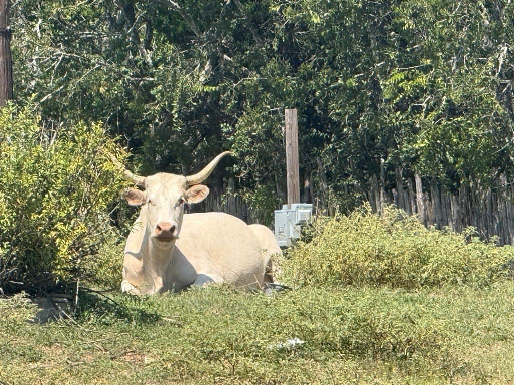 5.07 acres in Kerr County - photo 19
