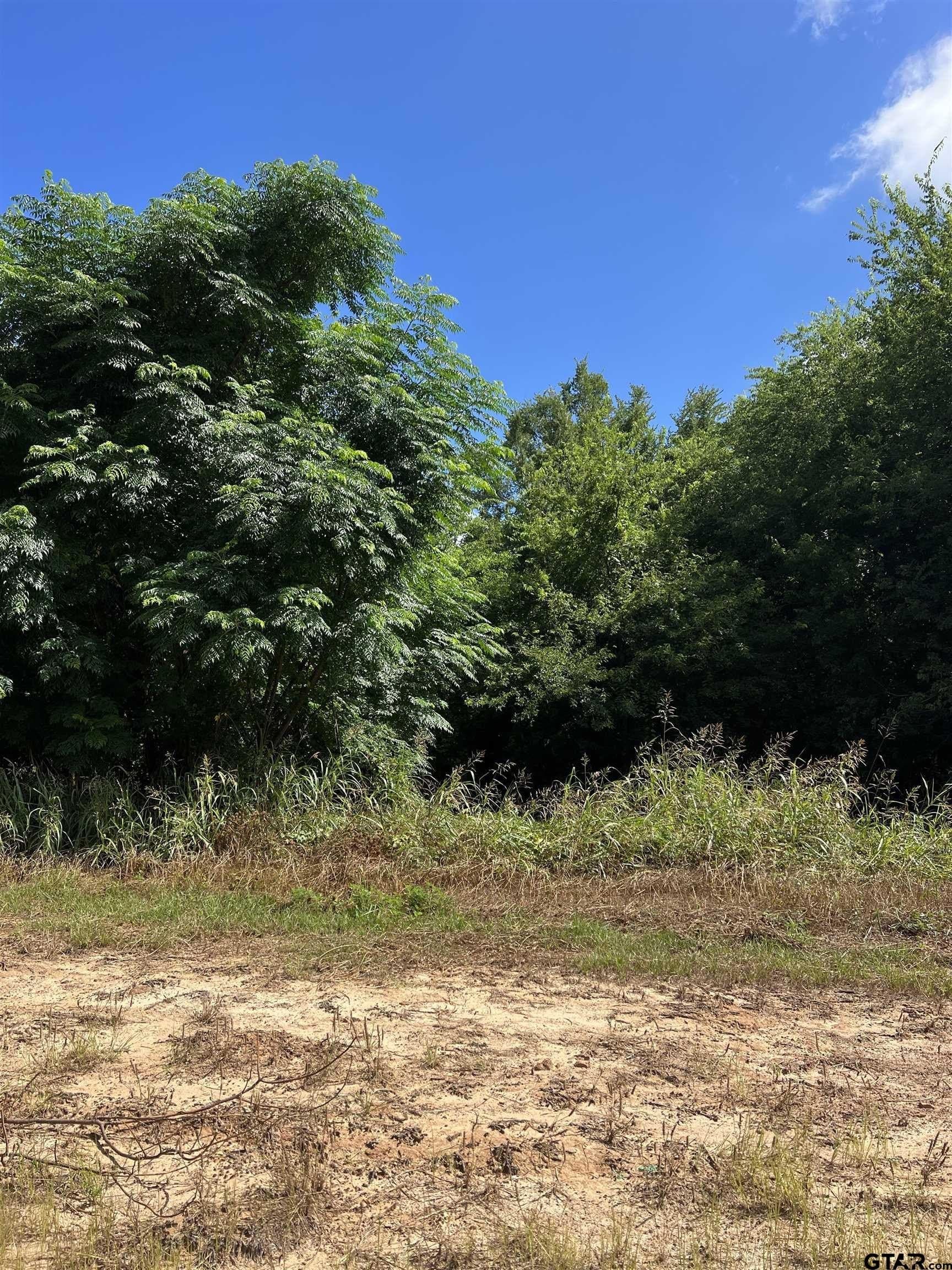 0.8 acres in Van Zandt County - photo 3