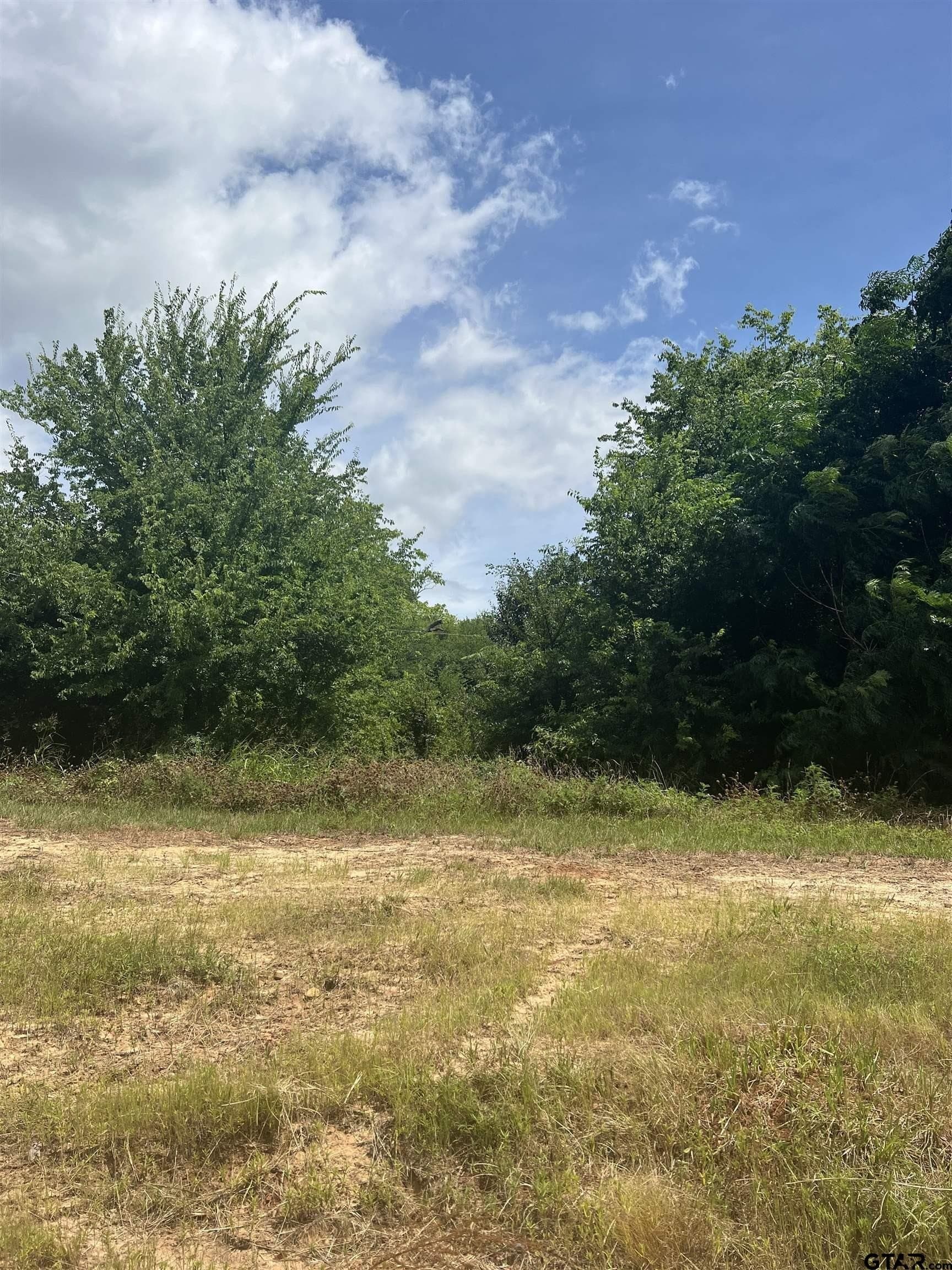 0.8 acres in Van Zandt County - photo 2