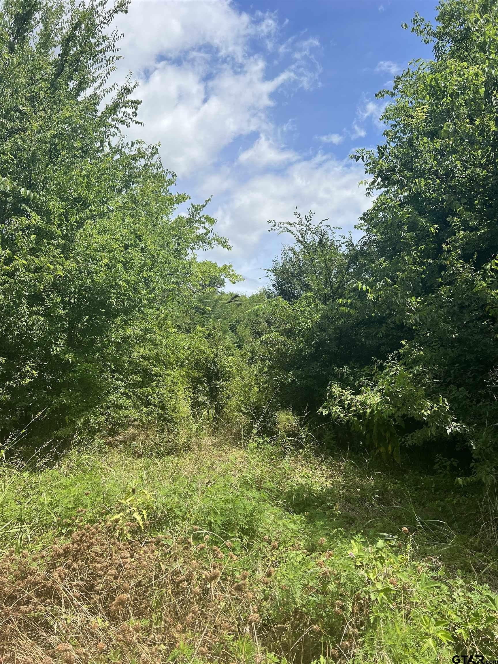 0.8 acres in Van Zandt County - photo 4