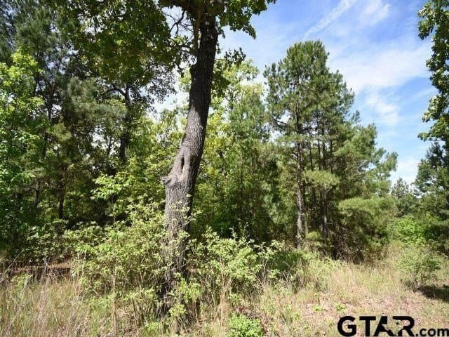 1.79 acres in Anderson County - photo 2