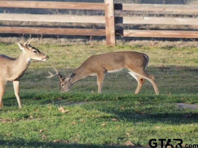 1.79 acres in Anderson County - photo 14