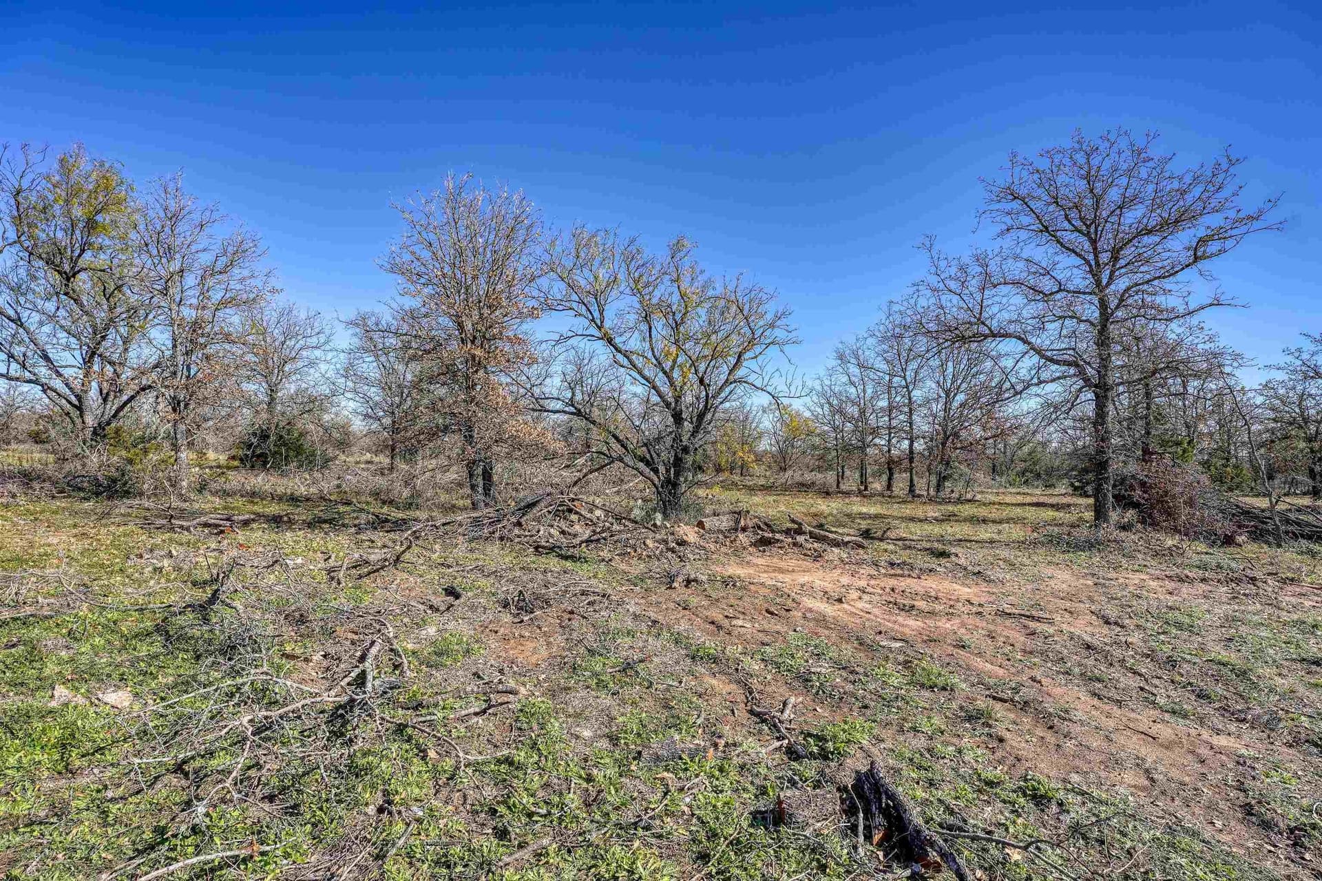 11.05 acres in Burnet County gallery image 4